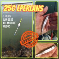 Flotteur 'goutte d'eau' pêche au coup 3Dpecheur | 100 mm et 130 mm | PF1