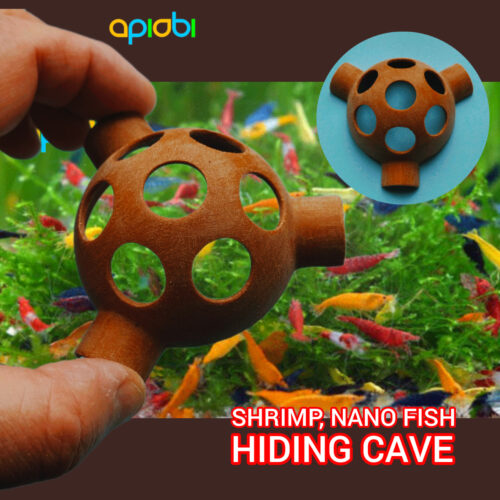 🦐 Abris - Dôme - Cachette , crevettes, poissons | 60 mm