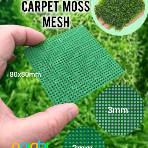 🦐 Grille pour tapis de mousse d'aquarium – Support modulaire pour aquascaping | 80x80mm, mailles de 2 et 3 mm | Carpet moss mesh