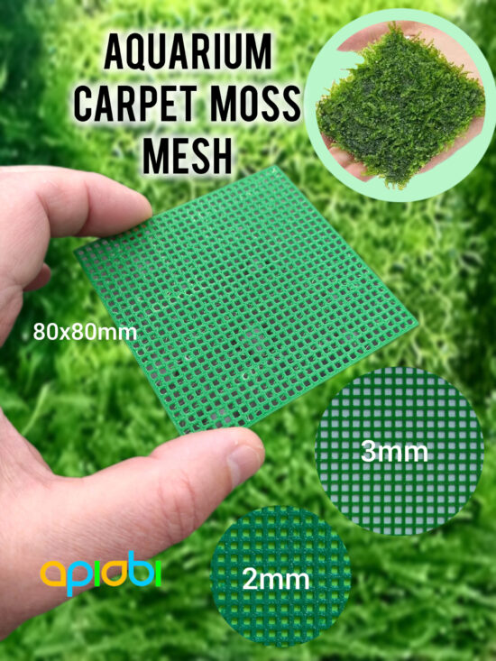 Grille pour tapis de mousse d'aquarium – Support modulaire pour aquascaping | 80x80mm, mailles de 2 et 3 mm