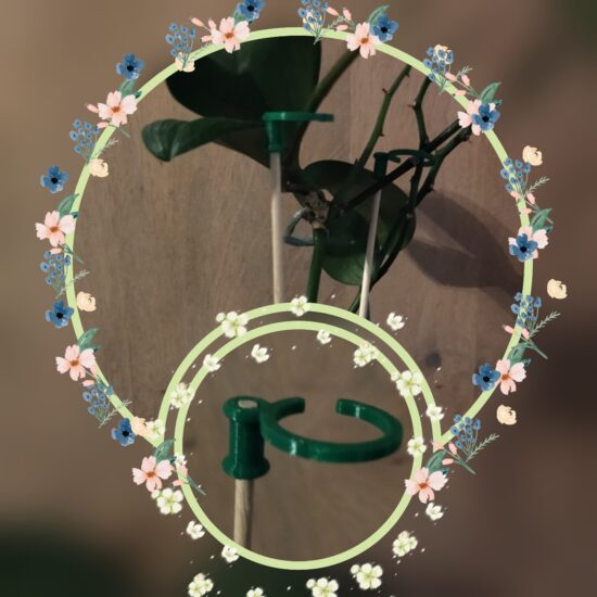 Guide stake for plants, orchids and potted flowers