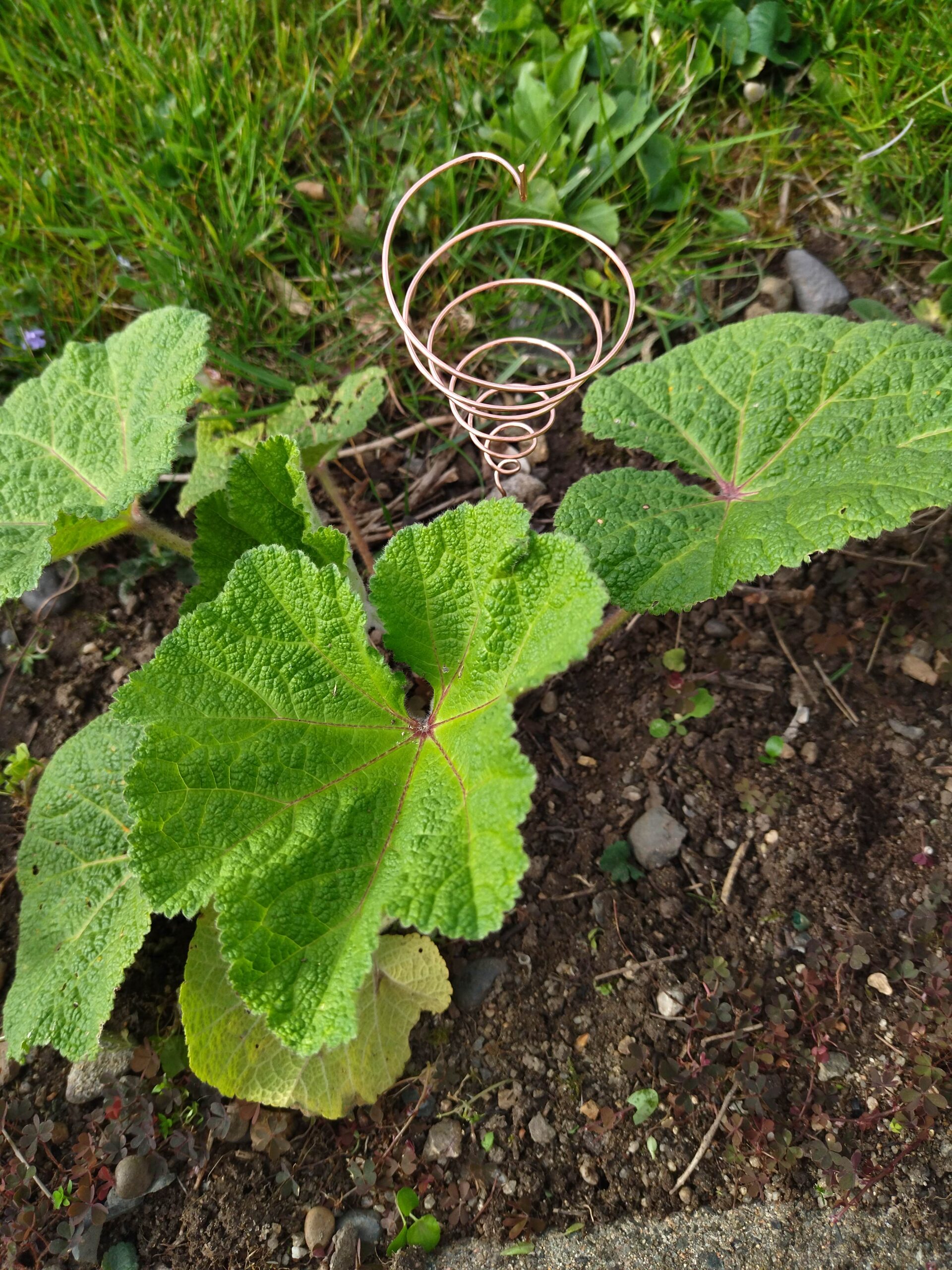 Gabarits de bobinage Ighina pour l'électroculture - Moule, cône à spirale en fil de cuivre – Image 3