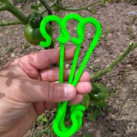 Tomato, fruit and vegetable hook holder