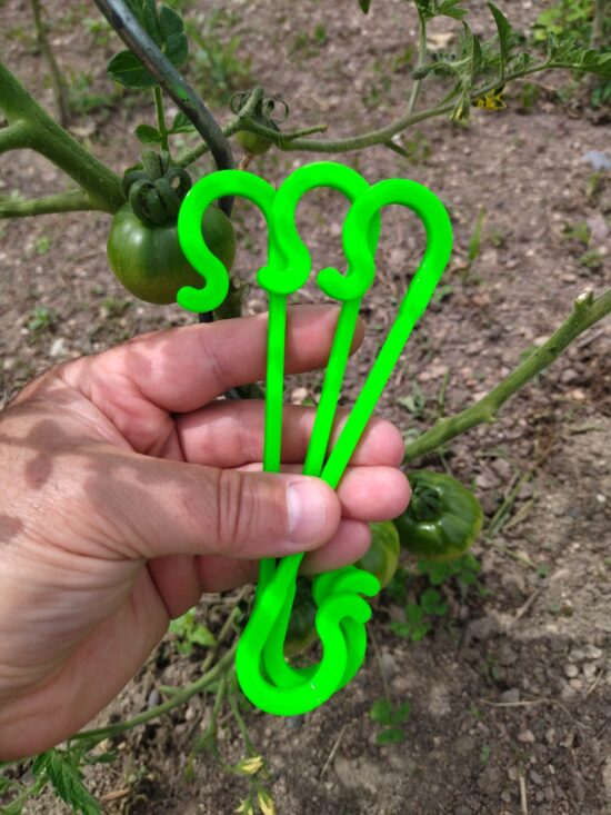 Tomato, fruit and vegetable hook holder