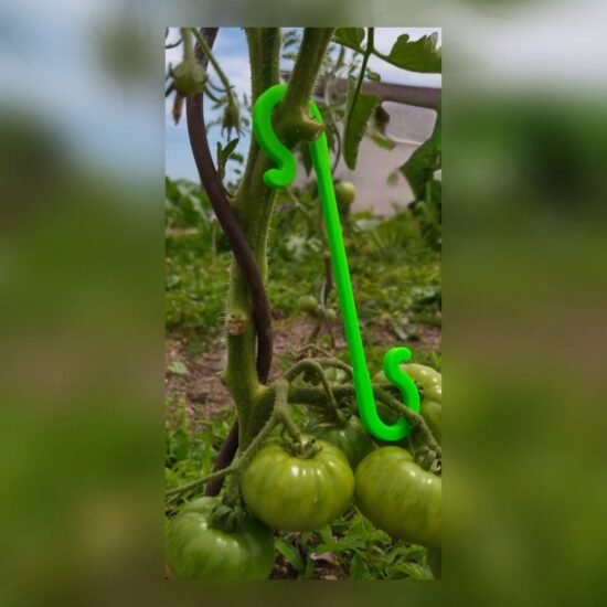 Tomato, fruit and vegetable hook holder