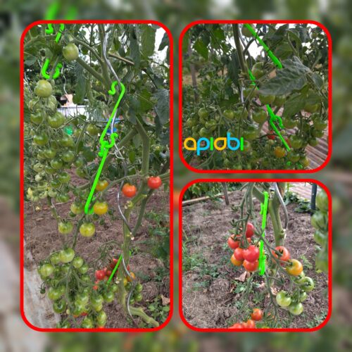 Tomato-hook-holder,-fruit,-vegetable-support,-stake,-apiobi,-stl,-3d-printer,-diy,-gargening 🍅 Support crochet pour tomates, fruits et légumes