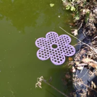 Ile flottante fleur pour abeilles | Abreuvoir 3D | STL et SVG