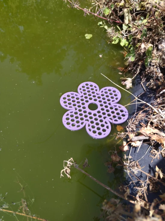 Ile flottante fleur pour abeilles | Abreuvoir 3D | STL et SVG