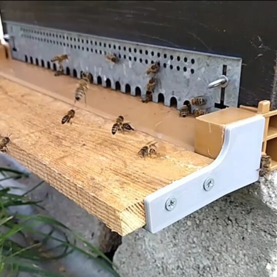 Rallonge planche d'envol plancher Nicot | Apiculture 3D | RPE-18mm