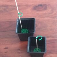 Tuteur + base pour pot de semis, de bouturage