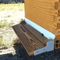 Bees can take off and land more easily with the installation of a 3D-printed Nicot floor extension kit